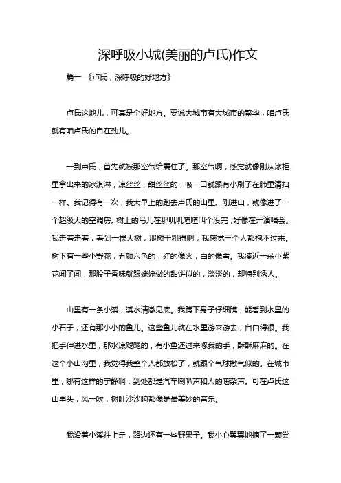深呼吸小城(美丽的卢氏)作文