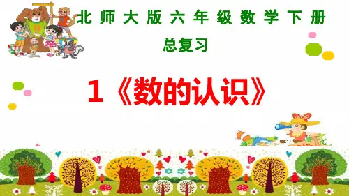 25 数与代数1《数的认识》