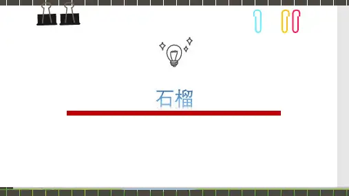《石榴》—美术课件