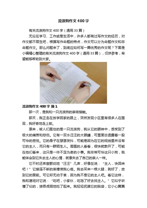 流浪狗作文400字