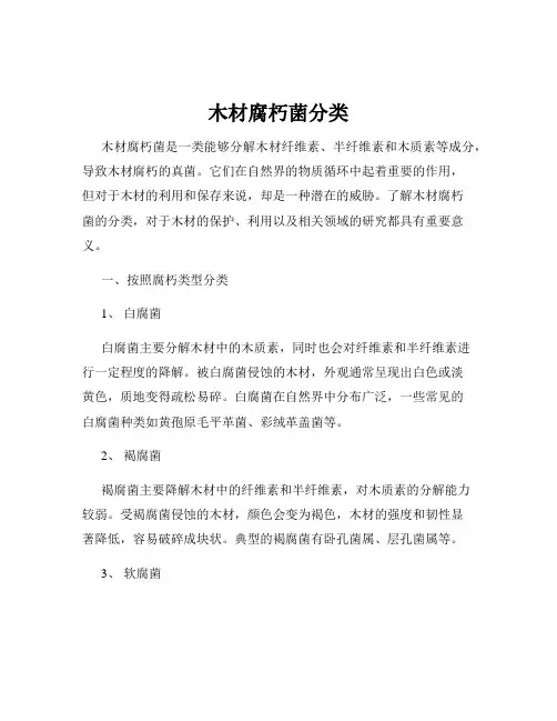 木材腐朽菌分类