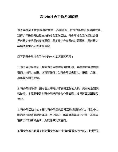 青少年社会工作名词解释