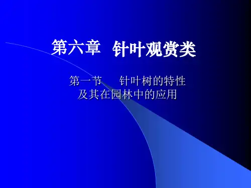 第六章_针叶类