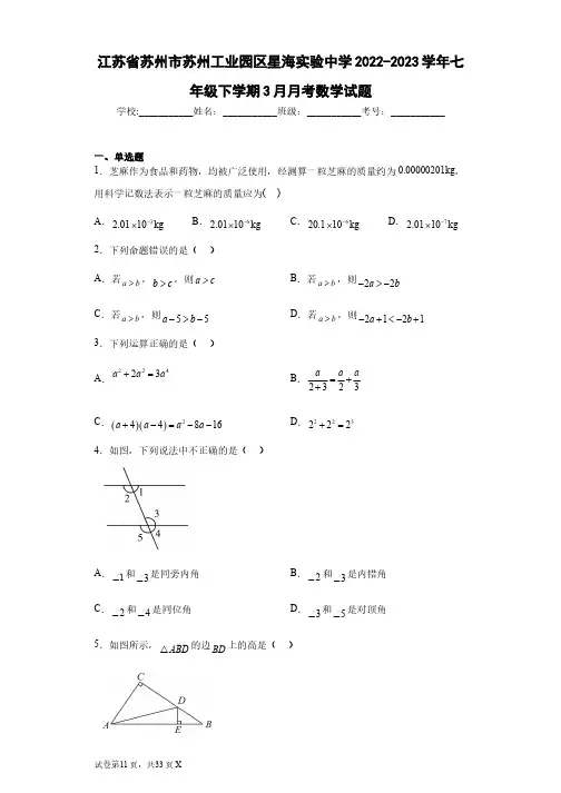 江苏省苏州市苏州工业园区星海实验中学2022-2023学年七年级下学期3月月考数学试题