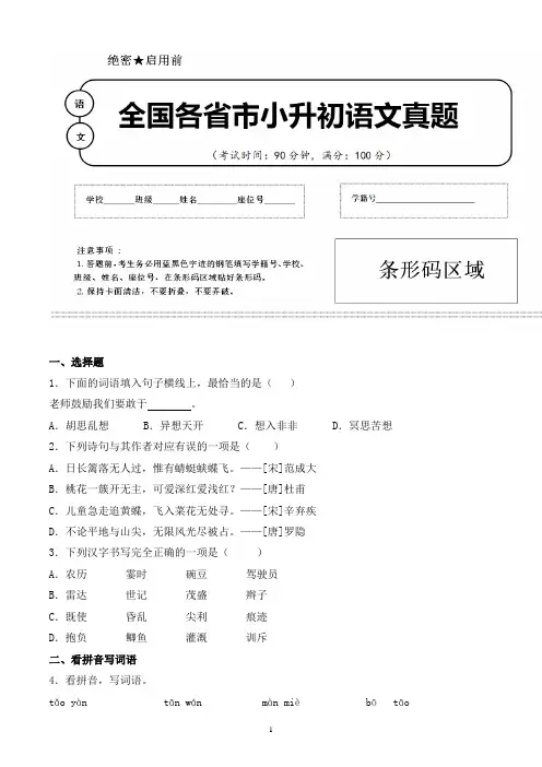 【小升初】2020年广东省广州市小升初语文毕业会考试题含答案(全网唯一)