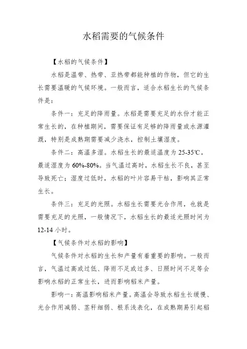 水稻需要的气候条件