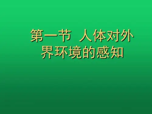 【初中生物】人体对外界环境的感知ppt42