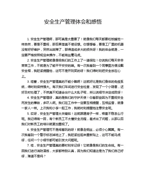 安全生产管理体会和感悟