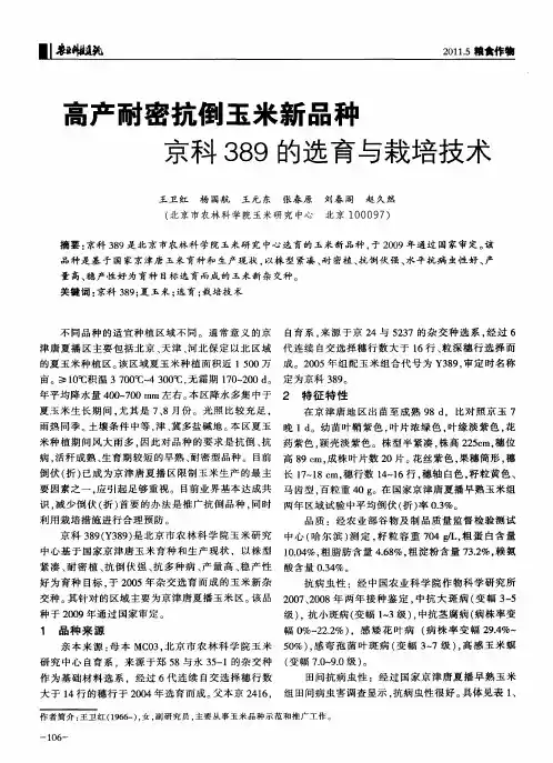 高产耐密抗倒玉米新品种京科389的选育与栽培技术