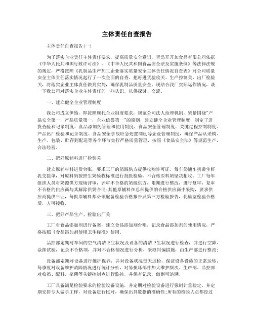 主体责任自查报告