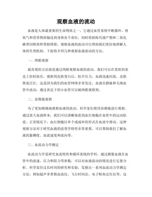 观察血液的流动