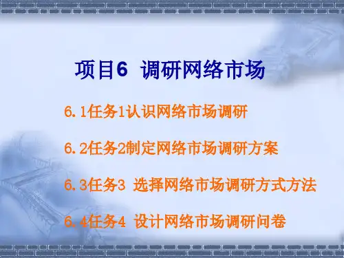 网络营销与策划项目教程 教学课件 ppt 作者 马继刚 6-10 项目六