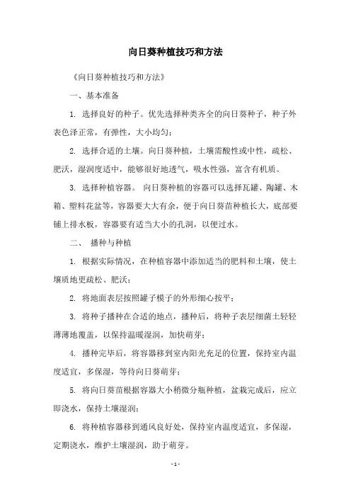向日葵种植技巧和方法