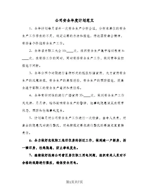 公司安全年度计划范文（3篇）