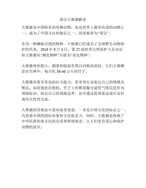 国宝大熊猫解读