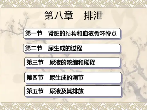 生理学第八章