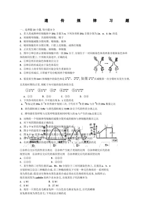 遗传规律习题