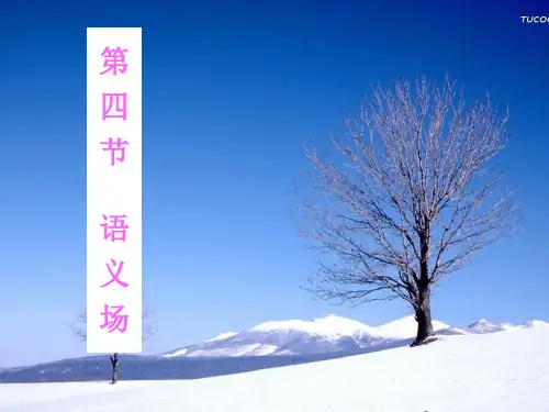 第四节语义场