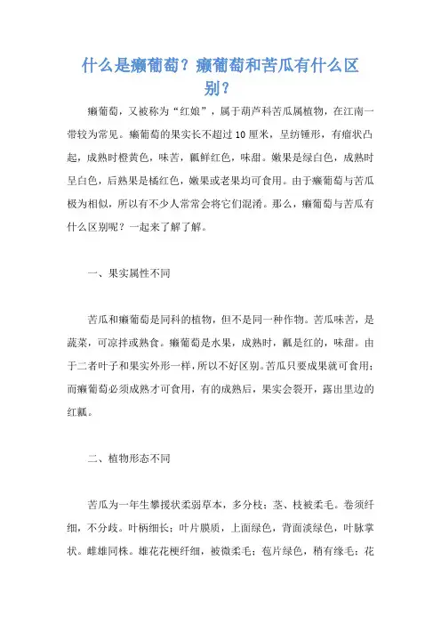 什么是癞葡萄？癞葡萄和苦瓜有什么区别？