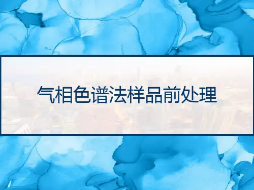 气相色谱法样品前处理 PPT