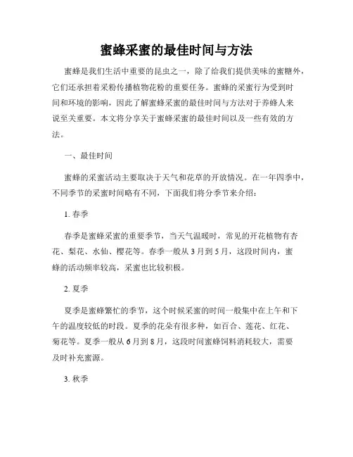 蜜蜂采蜜的最佳时间与方法