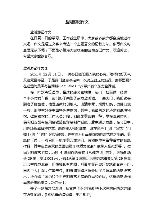盐湖游记作文
