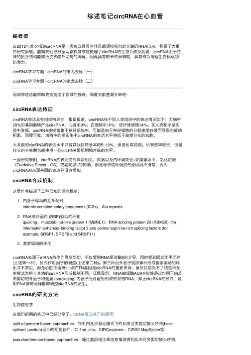 综述笔记circRNA在心血管