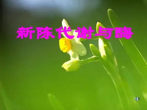 【高中生物】新陈代谢与酶ppt5
