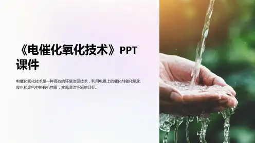 《电催化氧化技术》课件