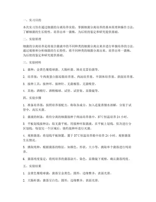 细菌的分离培养实习报告
