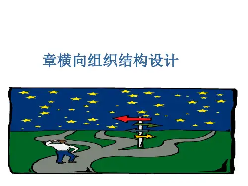 横向组织结构设计课件(PPT 92张)