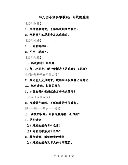 幼儿园小班科学教案：蚂蚁的触角（二篇）