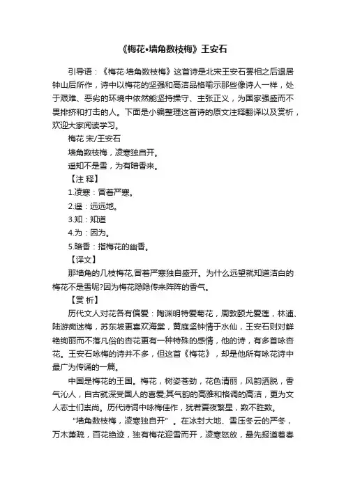 《梅花·墙角数枝梅》王安石