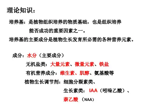母液的配制