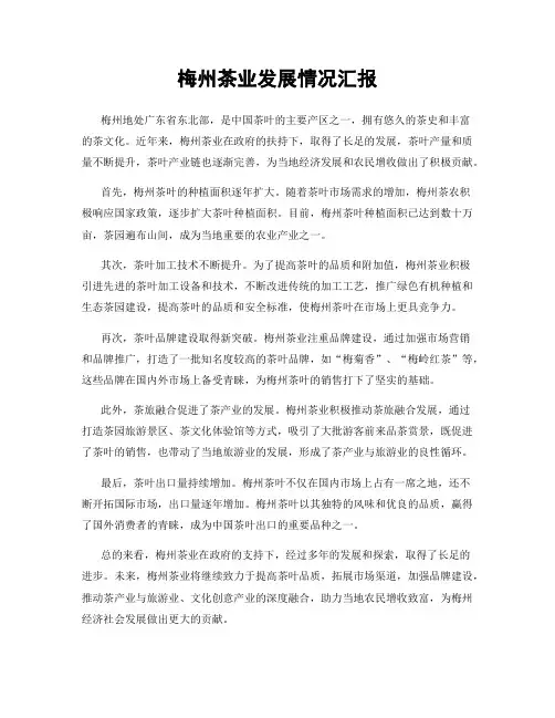 梅州茶业发展情况汇报