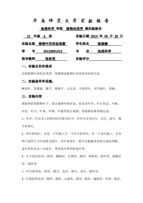 植物叶观测实验报告