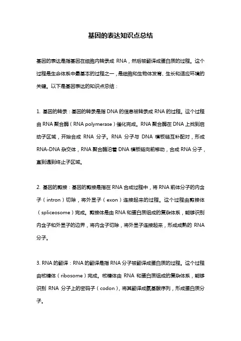 基因的表达知识点总结