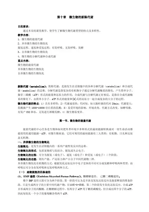 第十章 微生物的新陈代谢