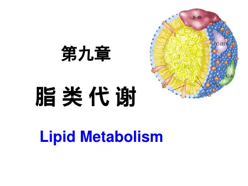 生物化学课程之脂类代谢
