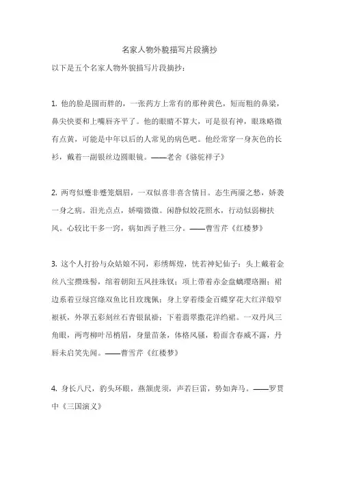 名家人物外貌描写片段摘抄
