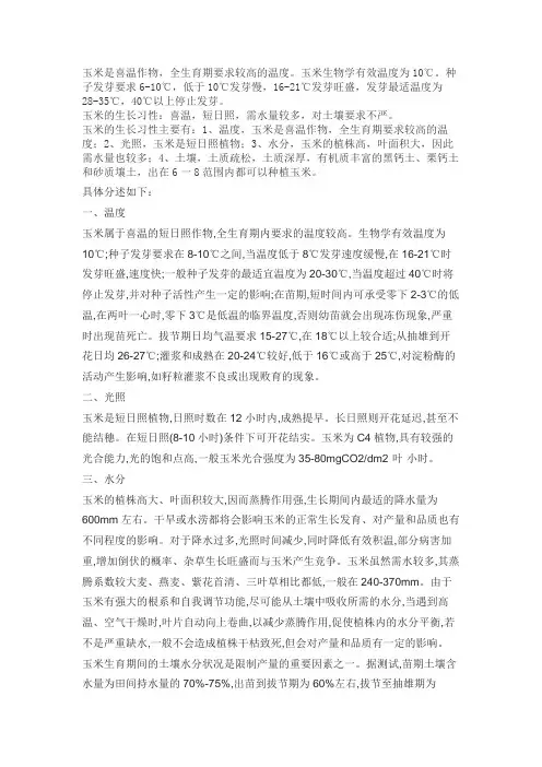 玉米生长习性