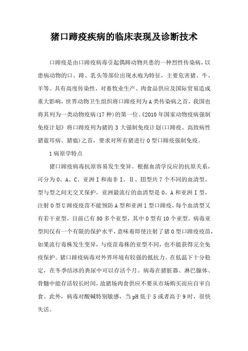 猪口蹄疫疾病临床表现及诊断技术