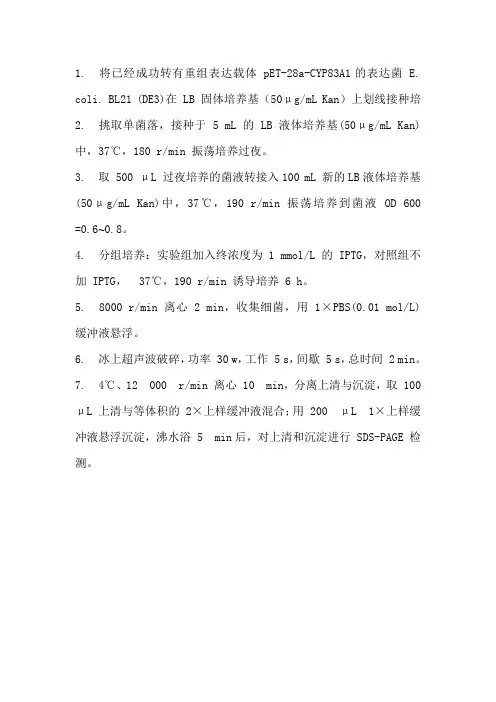 原核表达步骤