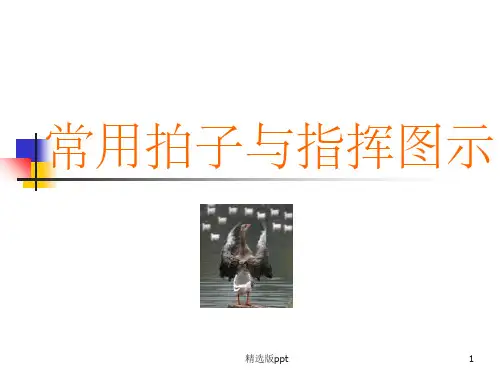 常用拍子与指挥图示