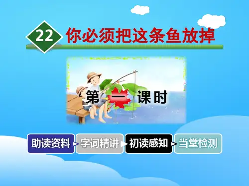 《你必须把这条鱼放掉》PPT【优秀课件】