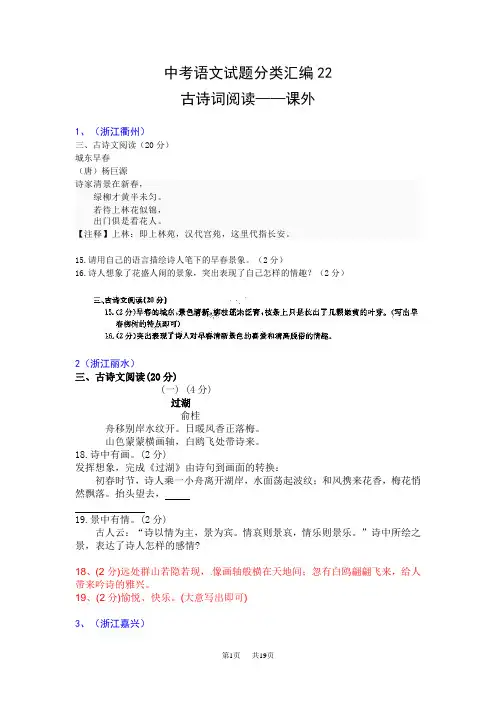 中考语文试题分类汇编23：古诗词阅读-课外