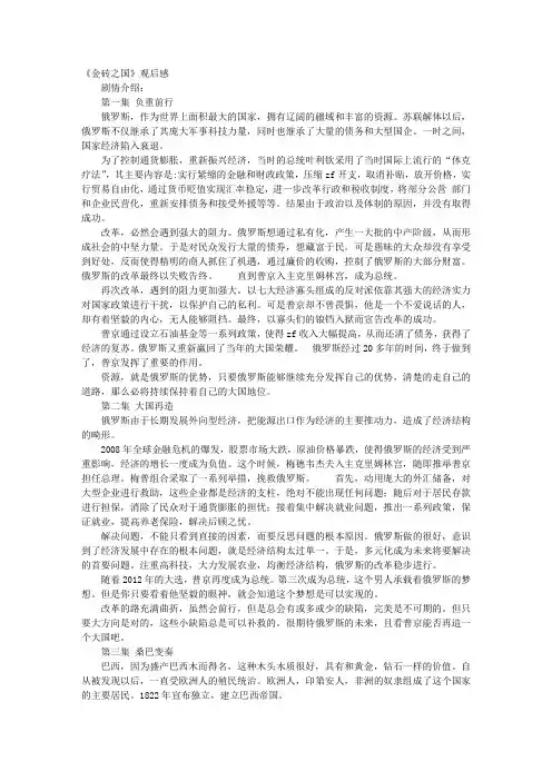 金砖之国观后感