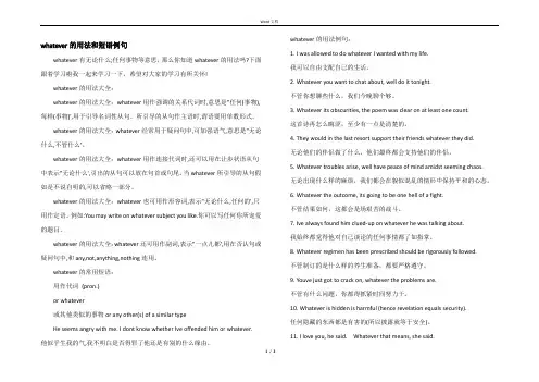 whatever的用法和短语例句