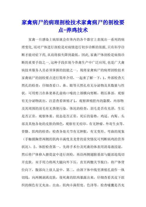 家禽病尸的病理剖检技术 家禽病尸的剖检要点 - 养鸡技术
