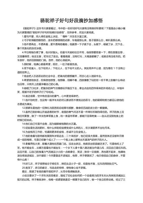 骆驼祥子好句好段摘抄加感悟